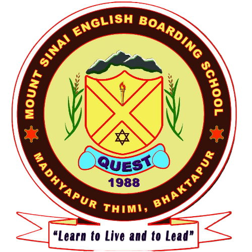 Logo Mount Sinai Academy